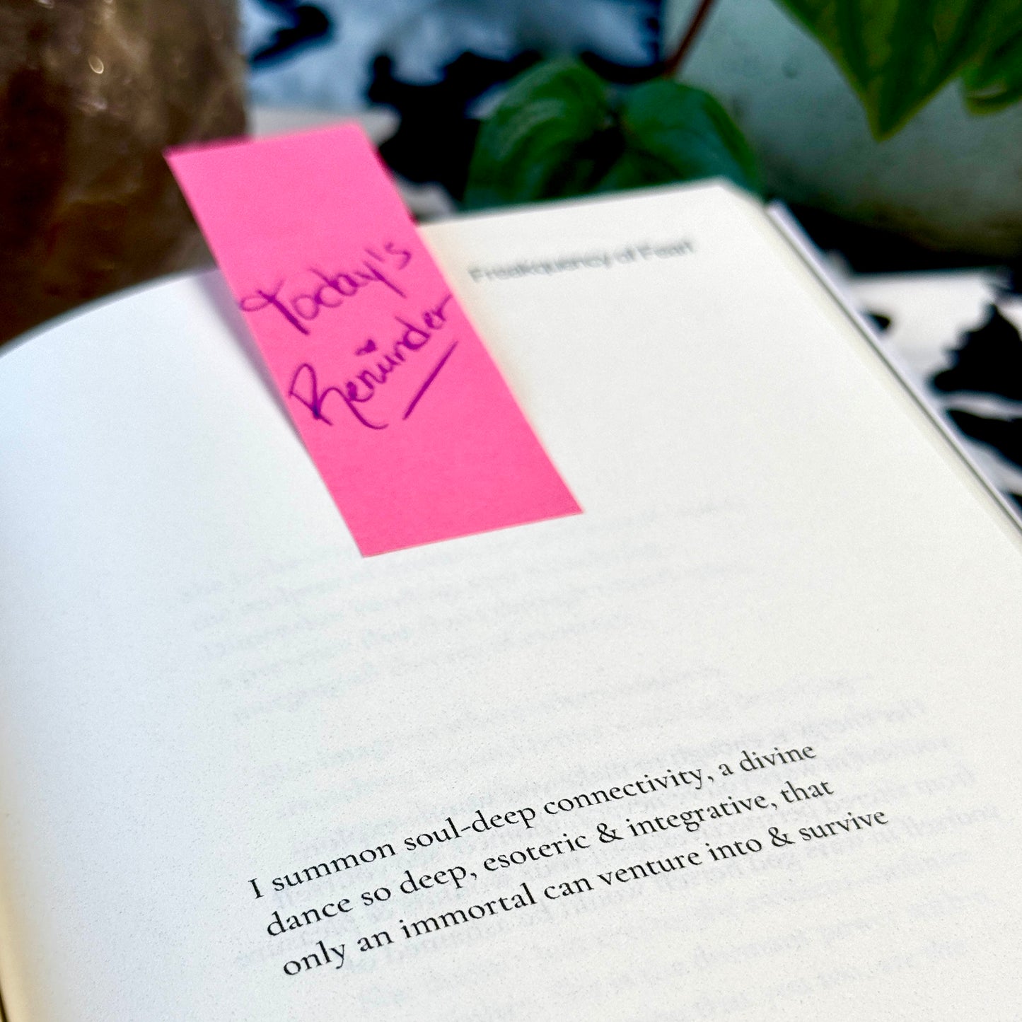 Freakquency of FeraL